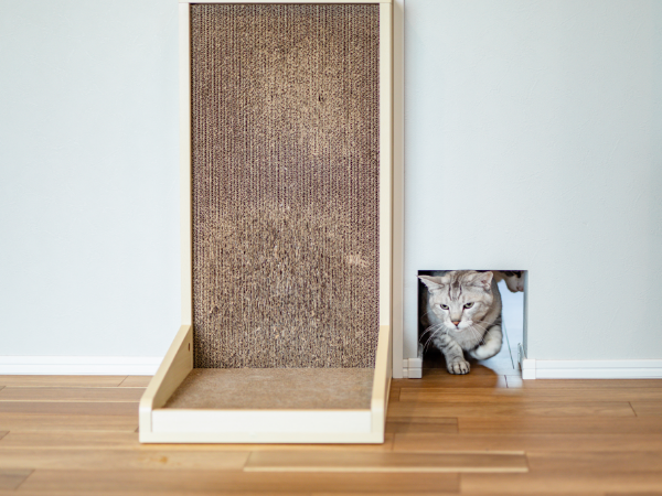 室内を行き来できる猫用トンネル